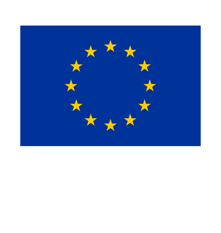 EU Flag